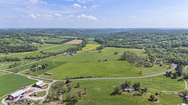 4824 Leipers Creek Rd, Williamsport, TN 38487 - view of rural area