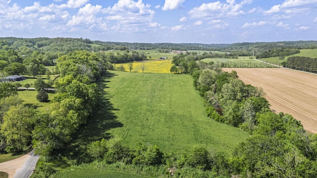 4824 Leipers Creek Rd, Williamsport, TN 38487 - aerial view of sparsely populated area