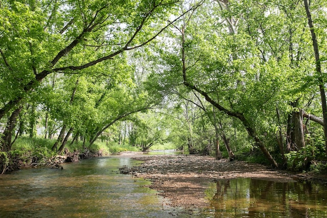 4824 Leipers Creek Rd, Williamsport, TN 38487 - water view with a forest