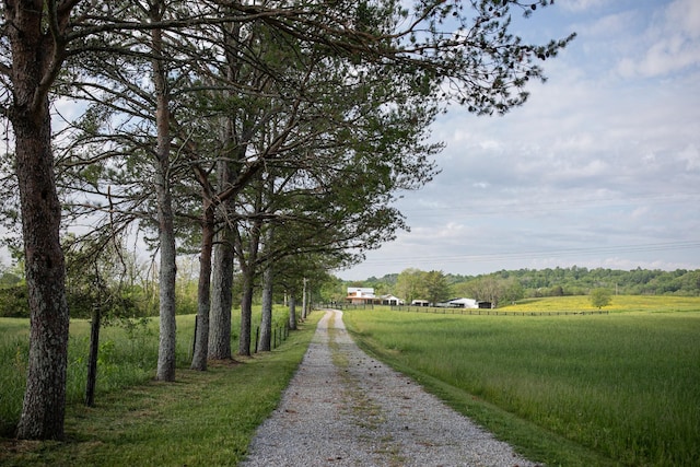 4824 Leipers Creek Rd, Williamsport, TN 38487 - view of dirt / gravel driveway