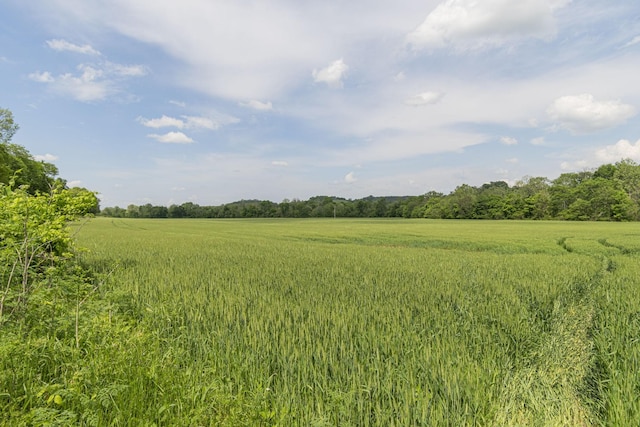 4824 Leipers Creek Rd, Williamsport, TN 38487 - view of undeveloped land featuring rural landscape