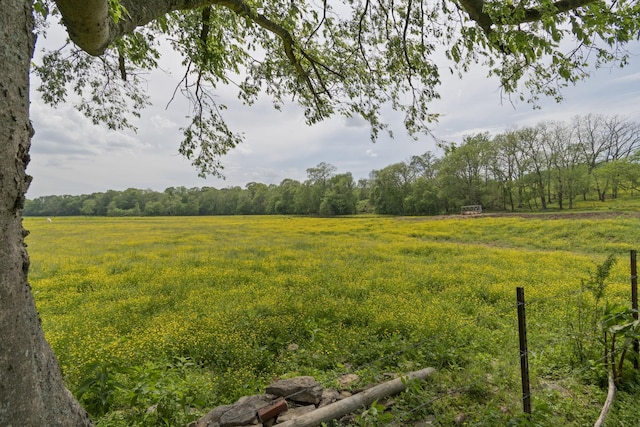4824 Leipers Creek Rd, Williamsport, TN 38487 - view of yard featuring a forest view and a view of rural / pastoral area