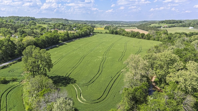 4824 Leipers Creek Rd, Williamsport, TN 38487 - aerial view of sparsely populated area