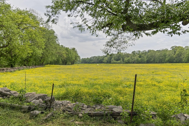 4824 Leipers Creek Rd, Williamsport, TN 38487 - view of yard featuring a rural view and a wooded view