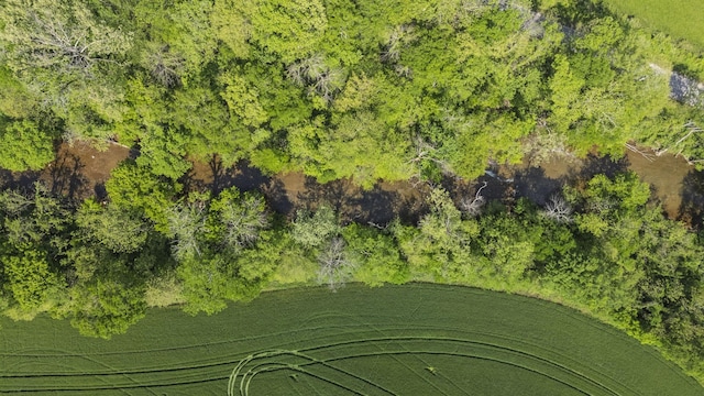 4824 Leipers Creek Rd, Williamsport, TN 38487 - bird's eye view