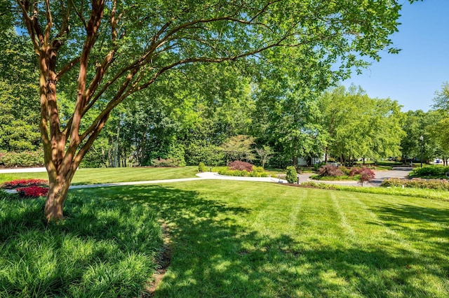 3000 Princeton Hill Dr NW, Cleveland, TN 37312 - photo 69
