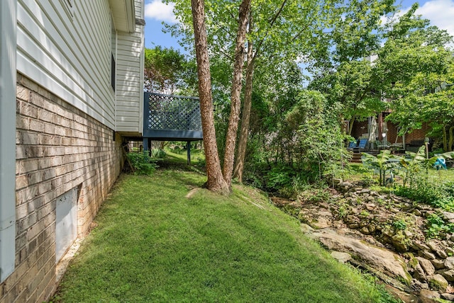view of grassy yard