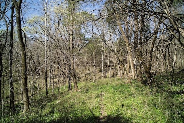 0 Choctaw Rd, College Grove, TN 37046