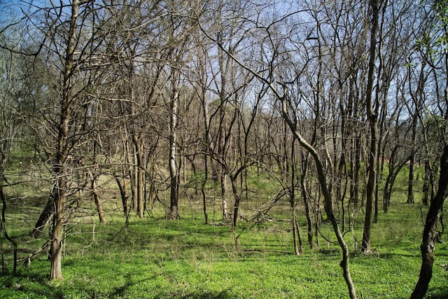 0 Choctaw Rd, College Grove, TN 37046