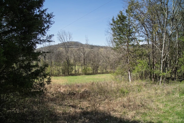 0 Choctaw Rd, College Grove, TN 37046