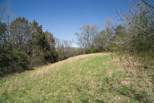 0 Choctaw Rd, College Grove, TN 37046