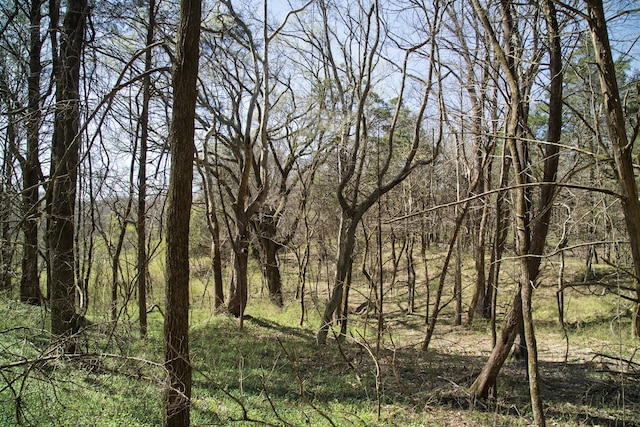 0 Choctaw Rd, College Grove, TN 37046