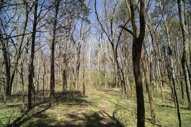 0 Choctaw Rd, College Grove, TN 37046