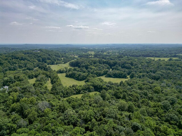 0 Choctaw Rd, College Grove, TN 37046 - photo 9