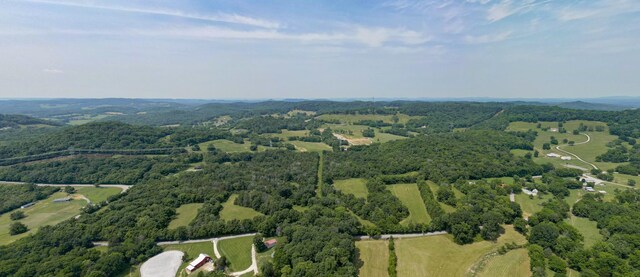0 Choctaw Rd, College Grove, TN 37046 - photo 7