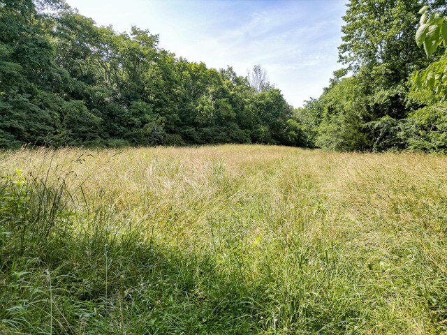 0 Choctaw Rd, College Grove, TN 37046 - photo 4