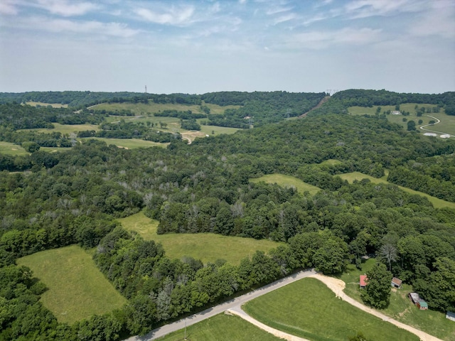 0 Choctaw Rd, College Grove, TN 37046 - photo 8