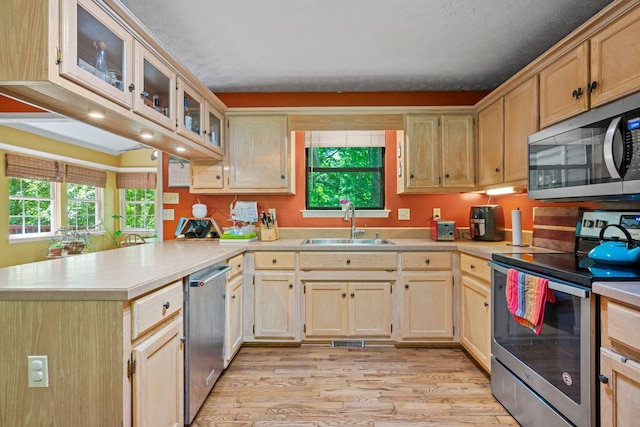 1015 Cross Country Dr, Kingston Springs, TN 37082 - kitchen featuring appliances with stainless steel finishes, a peninsula, a sink, light wood-style flooring, and light countertops