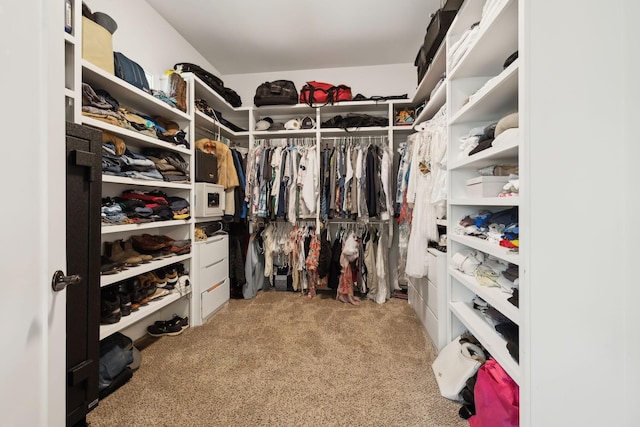 273 Halltown Rd, Cottontown, TN 37048 - spacious closet with carpet flooring