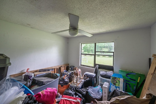 5300 Mount Gilead Rd, Cedar Grove, TN 38321 - photo 9