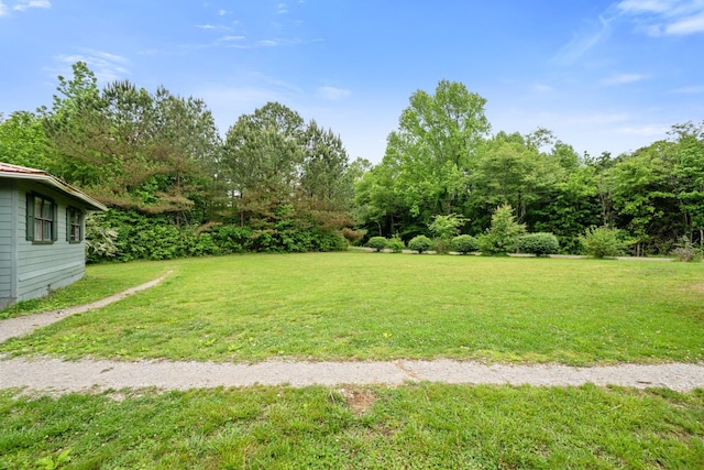 5300 Mount Gilead Rd, Cedar Grove, TN 38321 - photo 3