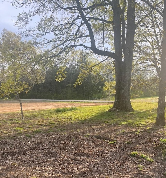 10962 Newtown Rd, Unionville, TN 37180 - photo 3