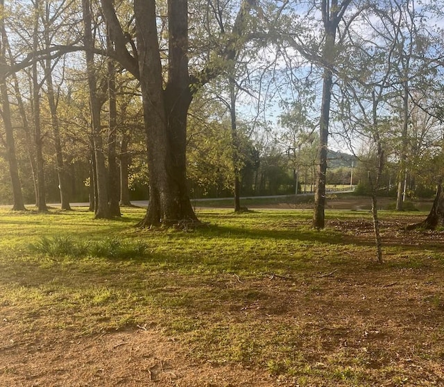 10962 Newtown Rd, Unionville, TN 37180 - photo 1