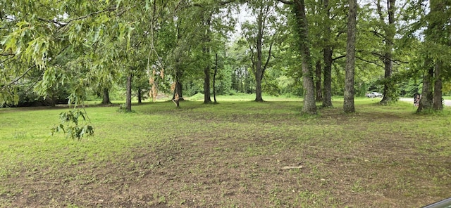 10962 Newtown Rd, Unionville, TN 37180 - photo 2