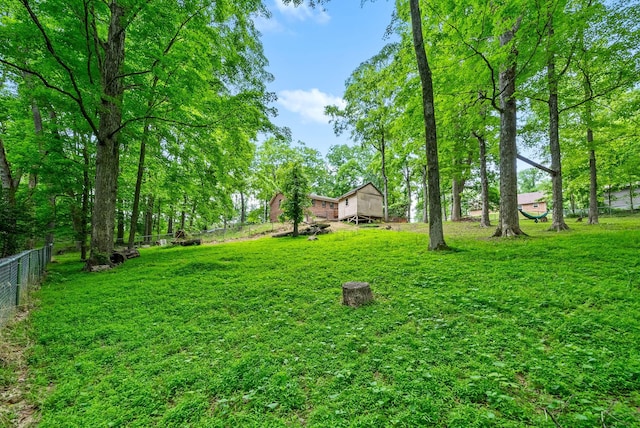view of yard