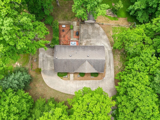 bird's eye view