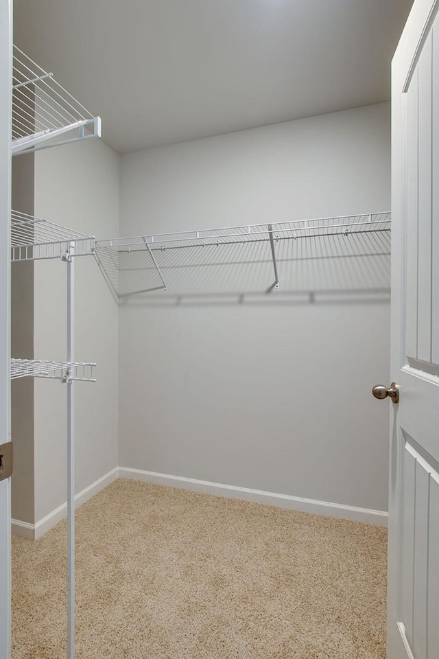 4017 Roane Dr, White House, TN 37188 - spacious closet featuring carpet