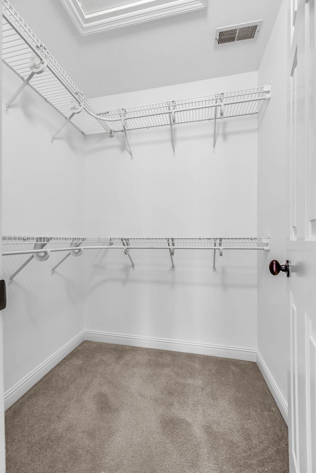 walk in closet with carpet floors