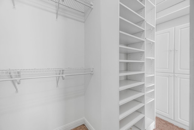 spacious closet featuring carpet floors
