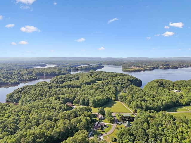 aerial view of a forest and a nearby body of water