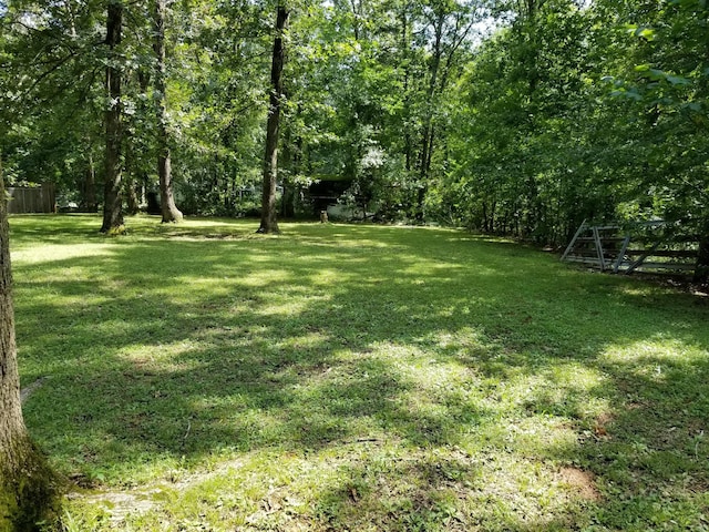 600 Murfreesboro St, Murfreesboro, TN 37127 - photo 10
