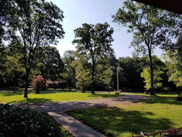 600 Murfreesboro St, Murfreesboro, TN 37127 - photo 4