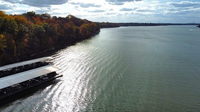 water view with a forest