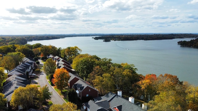 bird's eye view of a large body of water