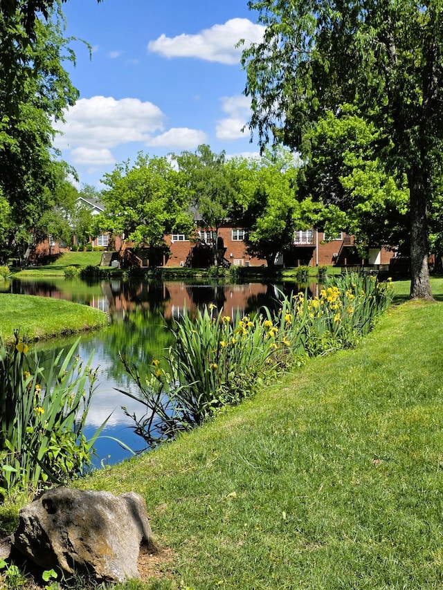 water view
