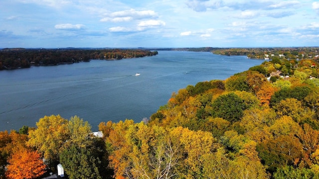 drone / aerial view of a large body of water and a forest
