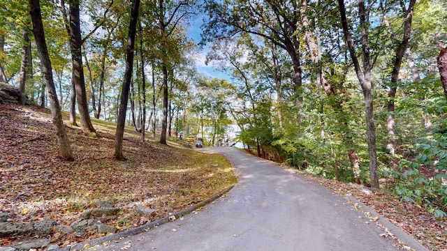 view of road with curbs
