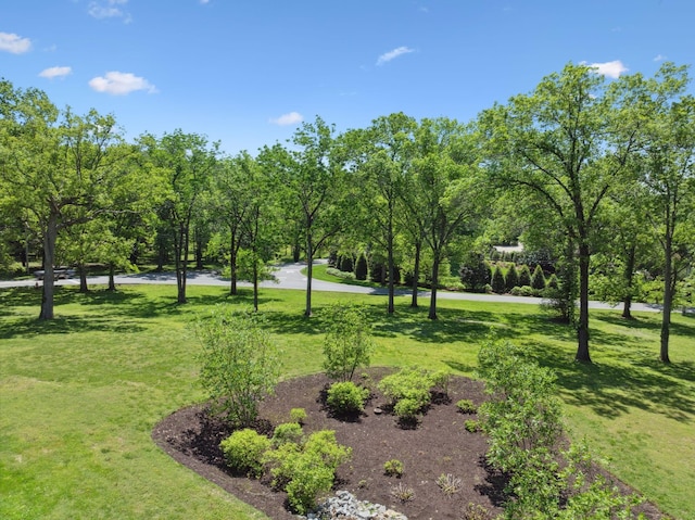 view of home's community with a yard