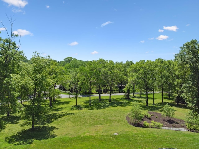 surrounding community with a lawn