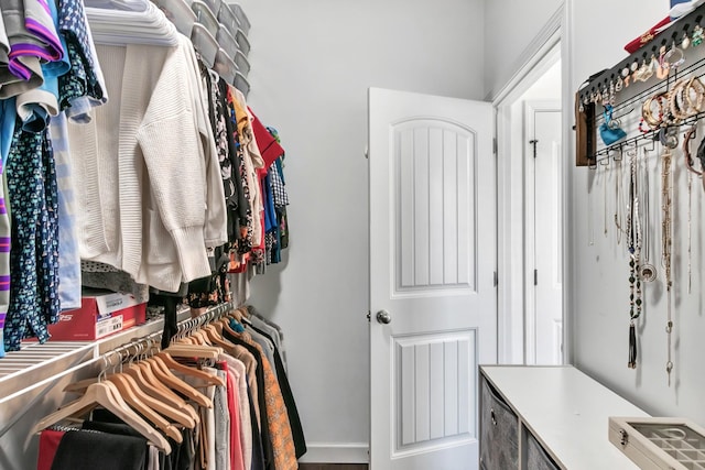 view of spacious closet
