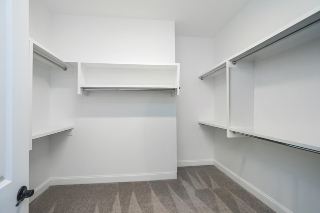 928 Tynan Way, Nolensville, TN 37135 - walk in closet with dark carpet