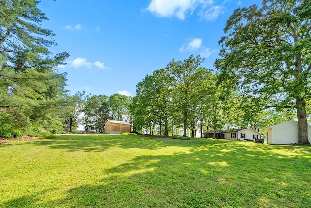 5921 Keysburg Rd, Adams, TN 37010 - view of grassy yard