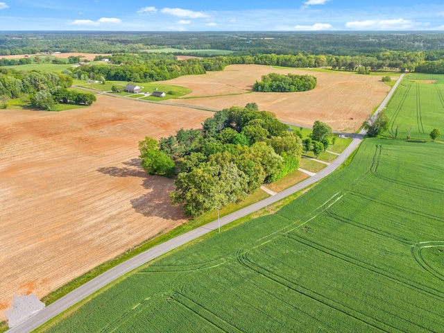 5921 Keysburg Rd, Adams, TN 37010 - overview of rural landscape