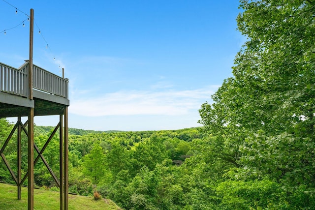 1709 Wildlife Trl, Kingston Springs, TN 37082 - view of yard featuring a deck and a view of trees
