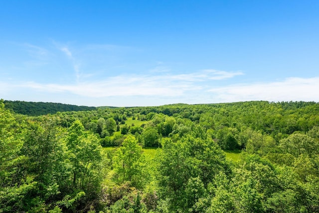 1709 Wildlife Trl, Kingston Springs, TN 37082 - mountain view featuring a forest