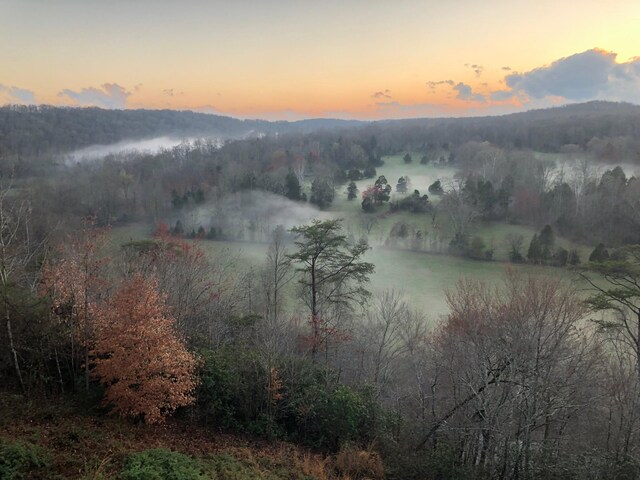 1709 Wildlife Trl, Kingston Springs, TN 37082 - mountain view with a heavily wooded area